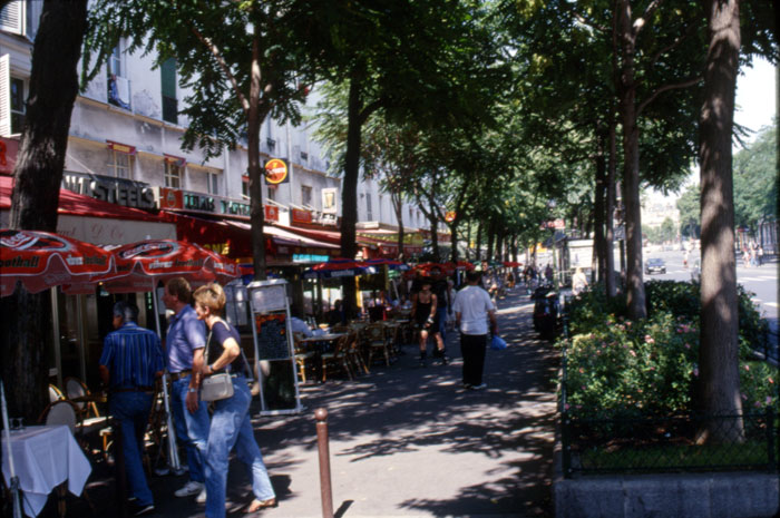 D2-Paris-boulevard-hylton-trees